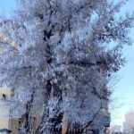 Meteoroloji’den yeni uyarı geldi! Türkiye’nin en soğuk yeri eksi 30,5 derece