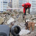 ‘Zeyna’dan Büyük Muvaffakiyet